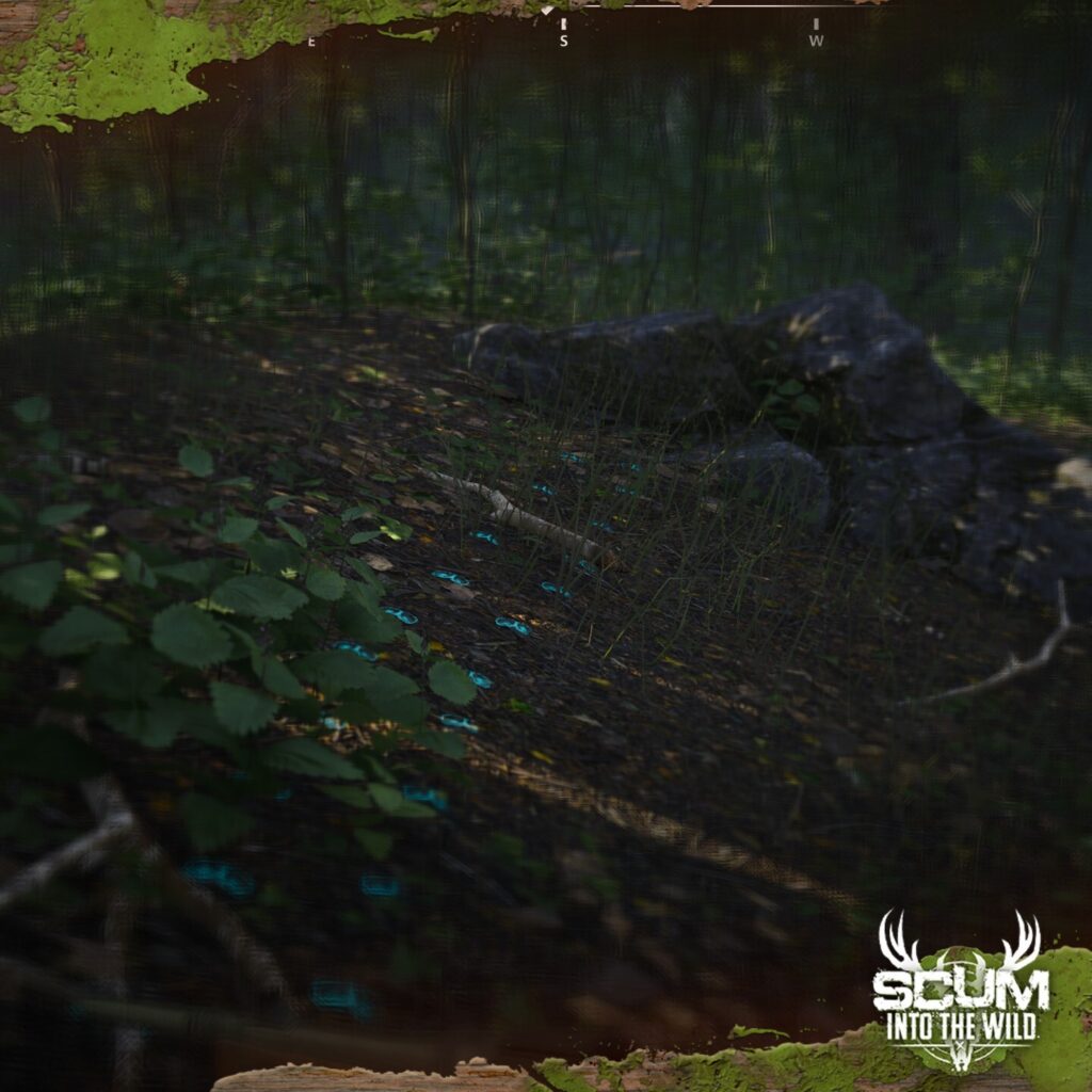 SCUM gameplay screenshot showing highlighted animal tracks on a forest floor, used for hunting and tracking wildlife.
